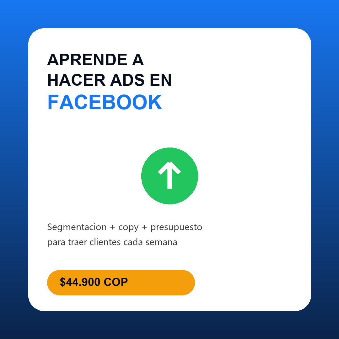 Publicidad en Facebook e Instagram Ads para tu Negocio